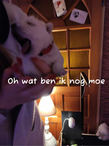 Otje, paar dagen oud